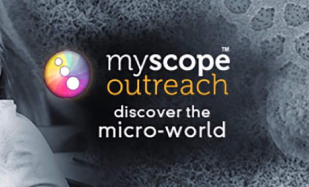 banner advertisement